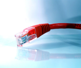 Cable connection réseau