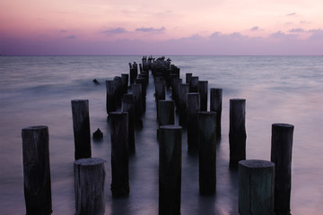 Infinite Beauty