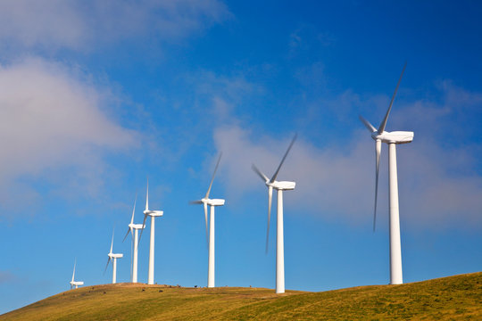 Wind turbines farm on sunset in summer