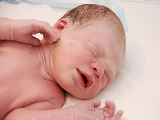 Newborn