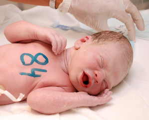 Newborn