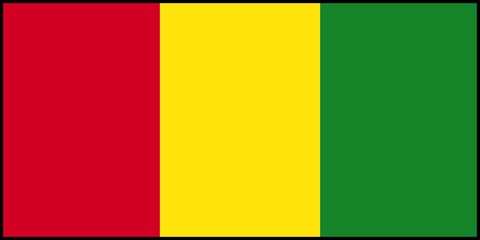 Obraz premium Drapeau de la Guinée