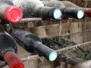 cave à vin
