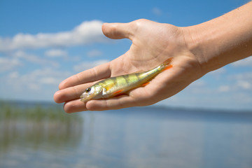 Man holding a fish caught on a hand with clouds