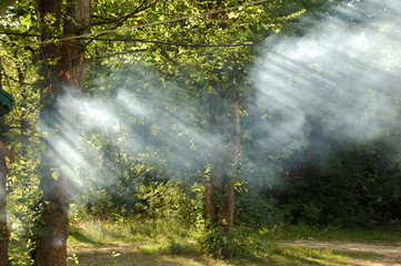 sunrays in smoke