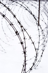 strands of sharp barbed wire fence in the snow