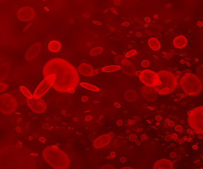 A grouping of red blood cells