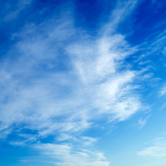 The clouds on the sky.