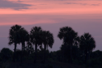 Florida Sky at Twilight