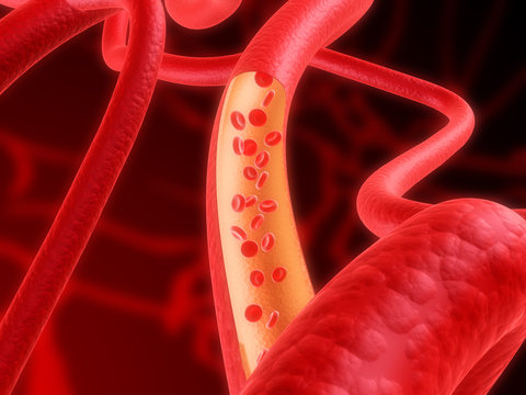 arterie mit flie&szlig;endem blut