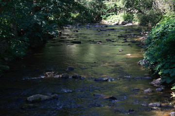 calm river