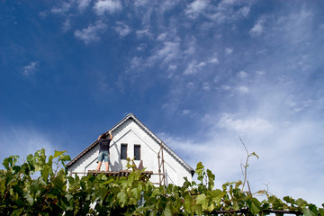 The image of a roof 