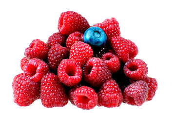 raspberries with one blueberry