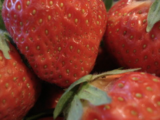 rote erdbeeren