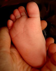 Babyfuss in der Hand