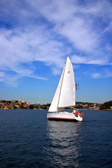 Obraz premium Sail boat..