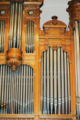 organ