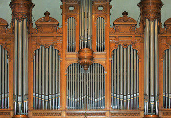organ