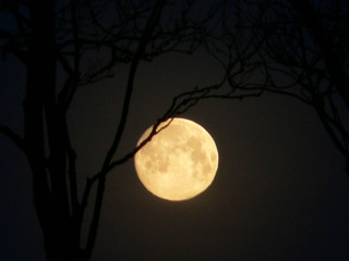 Moon