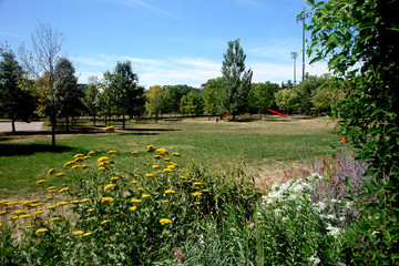 Pleasant  Space in Park