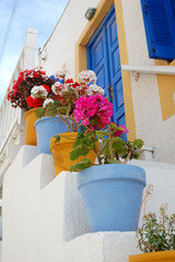 Colorful Pots