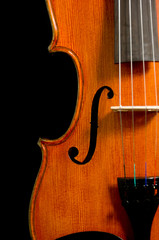 Violin on black