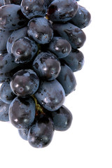 Grapes