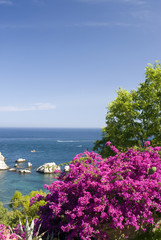 coastal scene with flowers sicily