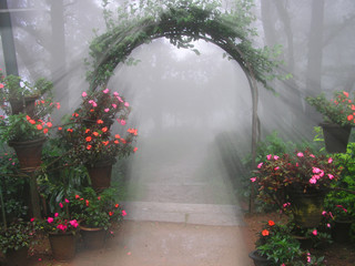 Fototapeta na wymiar Mystical Flower Entrance