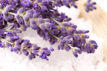 Obraz na płótnie Canvas lavender bath