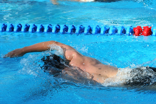 swimmer