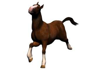 Horse