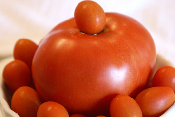 Tomatoes