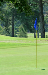 Obraz premium Eighteenth Green