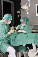 Dentist at work in dental room