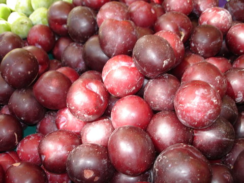 รูปภาพPruniers เลือกดูภาพถ่ายสต็อก เวกเตอร์ และวิดีโอ141 Adobe Stock