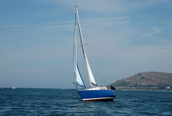 Fototapeta premium Sailing 04
