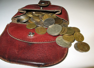 Coins in purse