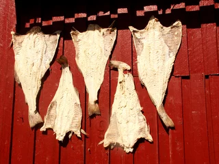 Crédence de cuisine en verre imprimé Arctique Baccalà DOC