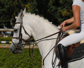 poney et sa cavalière sur la paddock de CSO