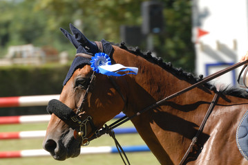 le vainqueur