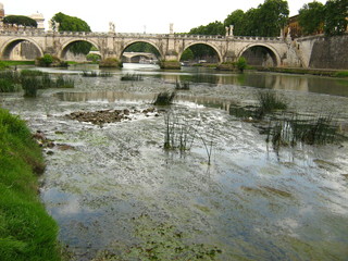 tevere