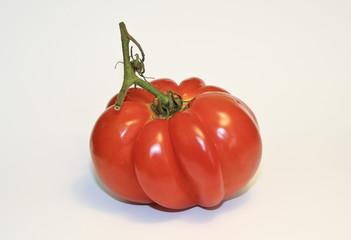 Tomate coeur de boeuf