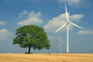 Natur und Technik