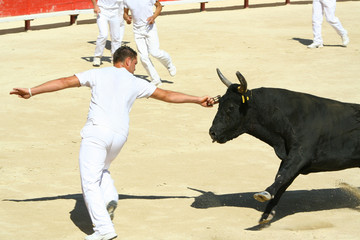 raseteur 