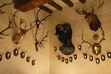 Cercles muraux Chasser Collection de trophées de chasse