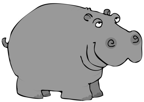 Gray Hippo