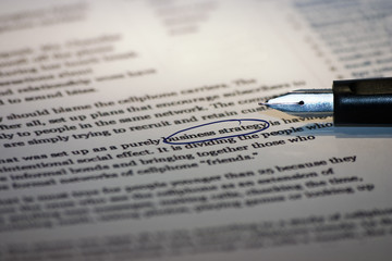 Estrategia de negocios