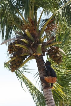 nur ein job...3
