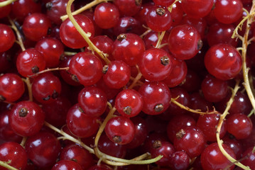 red current background